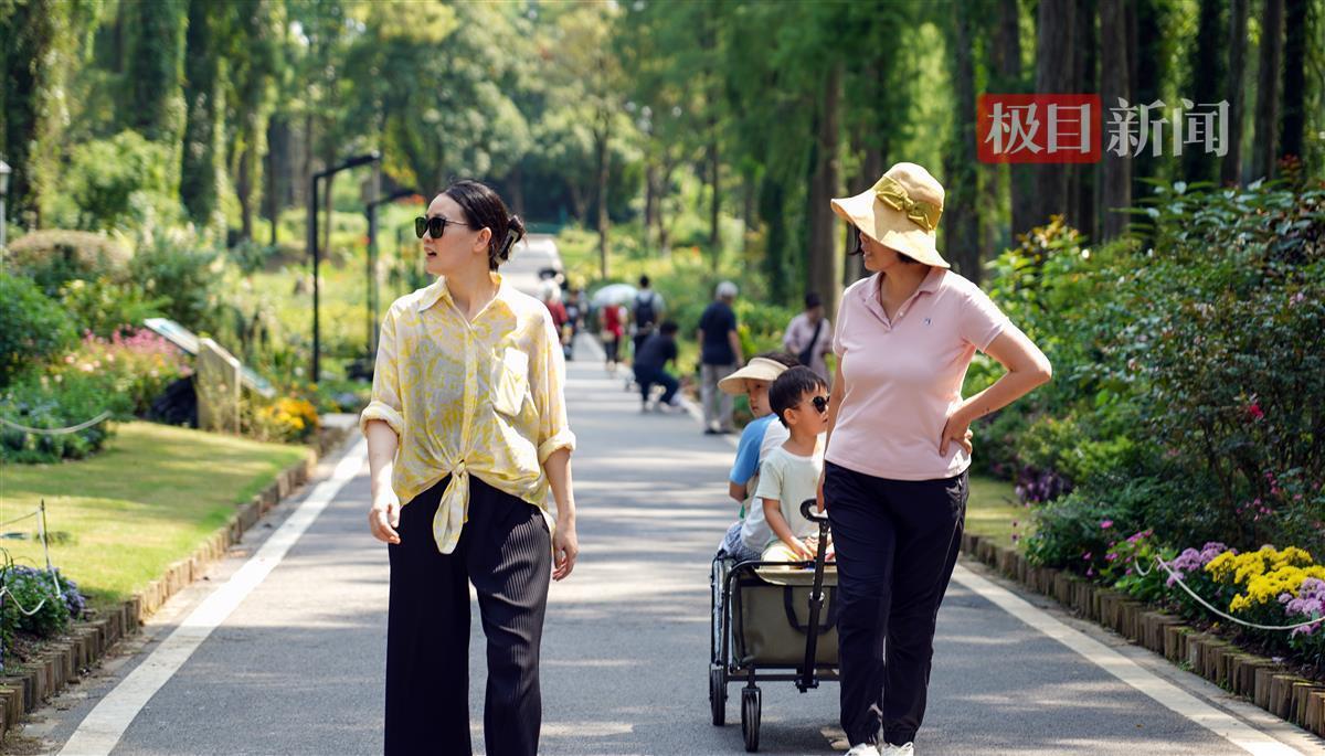 威尼斯公司官网
